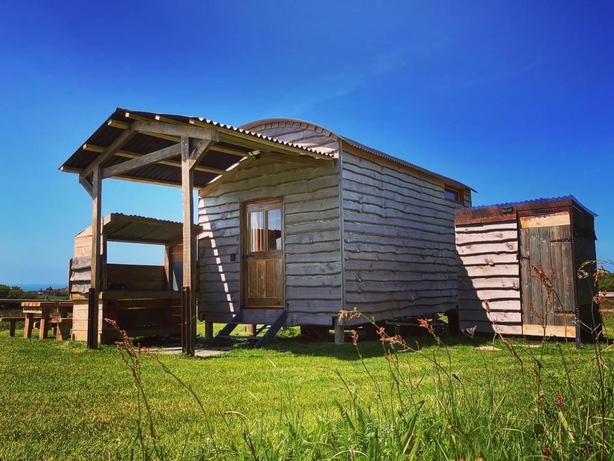 Shepherds Hut In A Private Meadow With Sea Views Hartland Exterior foto